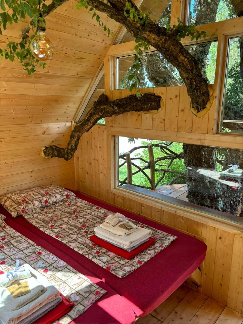 Agriturismo Pereti Roccatederighi Zimmer foto